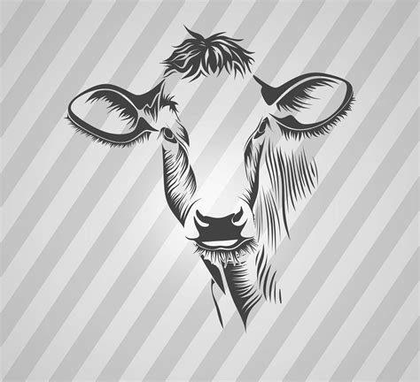 Download 182+ Cow DXF Files Silhouette
